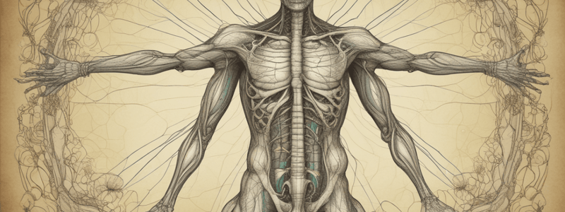 Anatomy and Physiology of the Lymphatic System