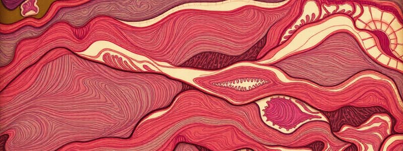 Muscle Histology Overview