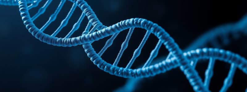 Gene Expression in Prokaryotes: Transcription