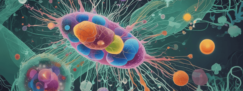 Structure and Function of the Glycocalyx