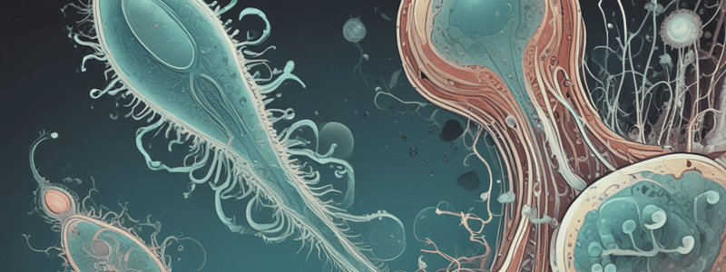 Parasitology Quiz: Protozoa and Sporozoa