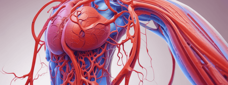 Ch 14 Part 2-Blood Flow Redistribution during Exercise