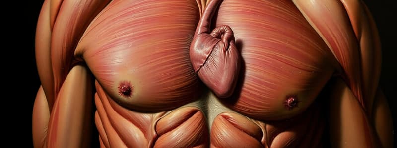 Tessuto Muscolare Striato e Cardiaco