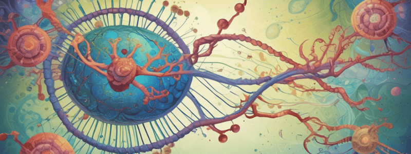 Spatial Localization of mRNAs