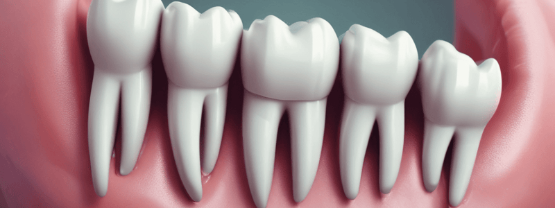 Dental Matrices