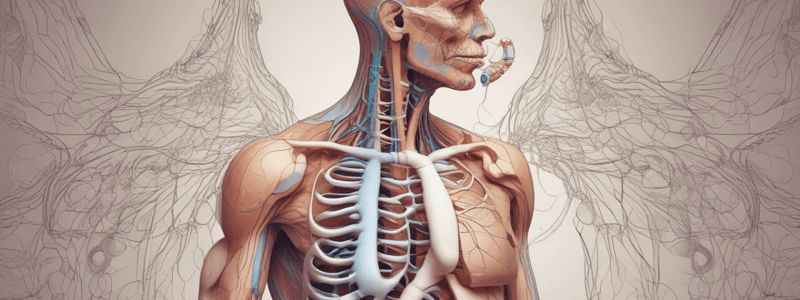 Biology: The Respiratory System