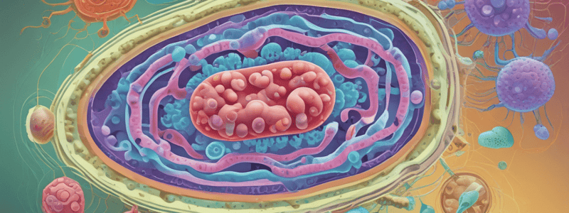 Bacterial Cell Wall Structure and Function