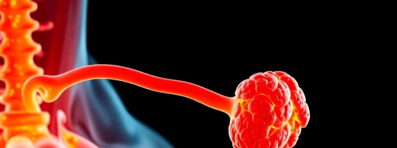 Métabolisme Phosphocalcique et Parathyroïdes