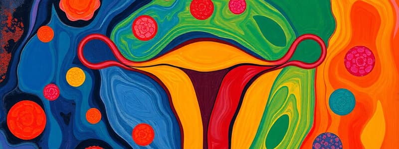 El inicio de la vida y ciclo menstrual