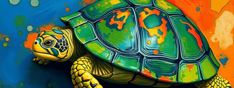 Funció del color de les tortugues