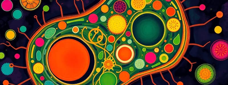 Cell Structure and Function: Chapter 7