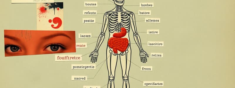 French Body Parts and Common Ailments