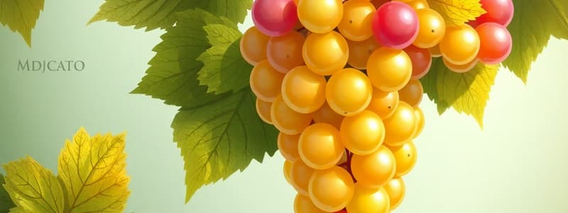 Vitigni e Vini: Quiz sul Moscato