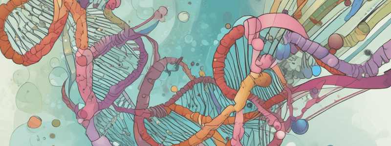 Transcription Regulators in Gene Expression