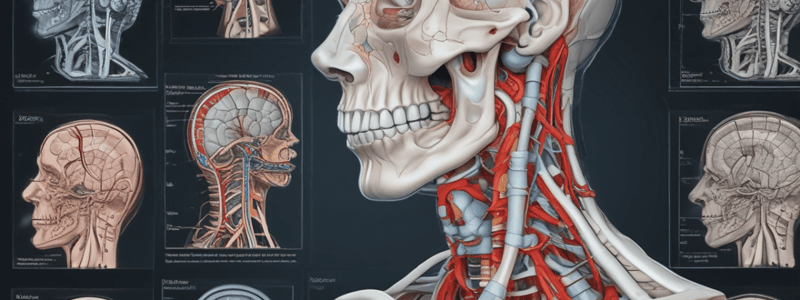 Imágenes diagnósticas del cuello