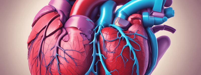 Ventricular Septal Defect (VSD)