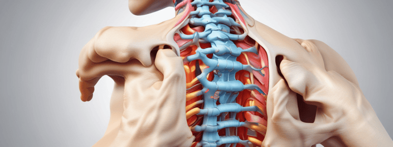 Spinal Deformities and Disc Herniation Quiz