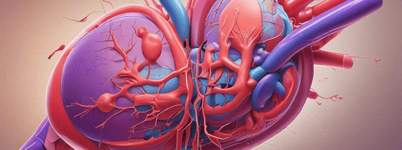 Procainamide (Pronestyl) Classification and Dosage Quiz