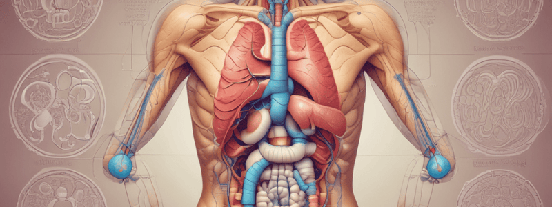 Gastrointestinal Physiology MBBS Year 1