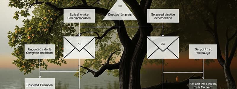 Email Address Components Quiz