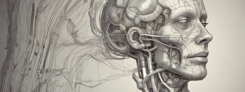 Neurophysiology: Vestibular System- Pt 1