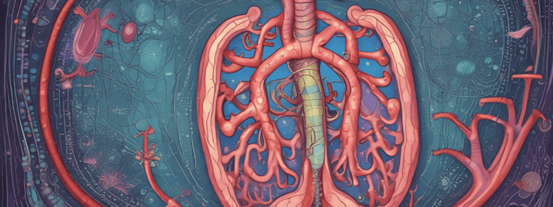 Pancreas Lab Values and Imaging Techniques