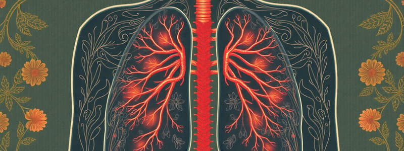 Human Respiration: Processes and Gas Exchange