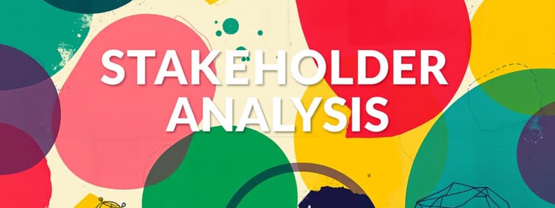 Stakeholder Analysis and Risk Management