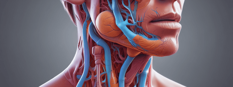 Respiratory System Anatomy Quiz