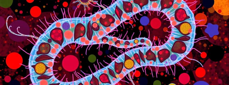 Microbiology of Klebsiella and Enterobacter