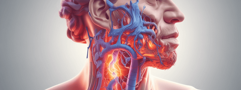 Système respiratoire humain