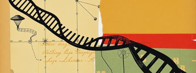 DNA Replication: Steps and Enzymes