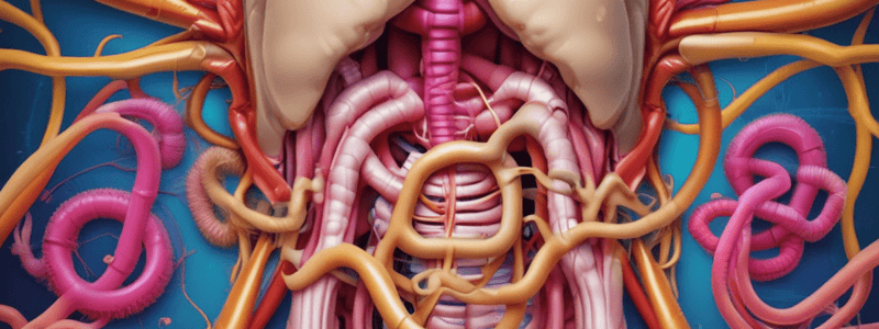 Digestive System Chapter 23.1 Quiz