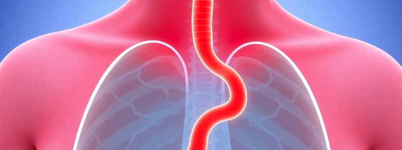 Esophageal Disorders: Dysphagia, GERD and more