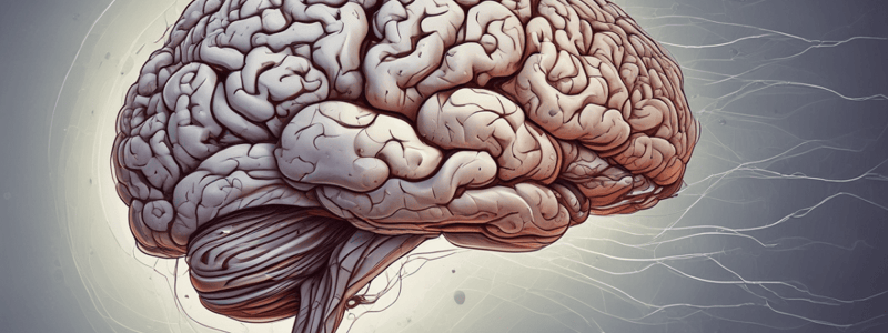 Understanding Brain Learning and Memory