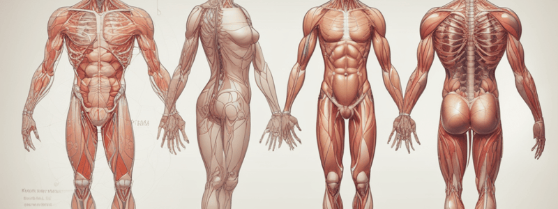 Y1S1 001 III Physiology of Body Fluids