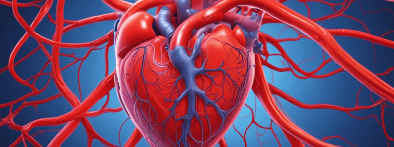 L24 Coronary blood flow