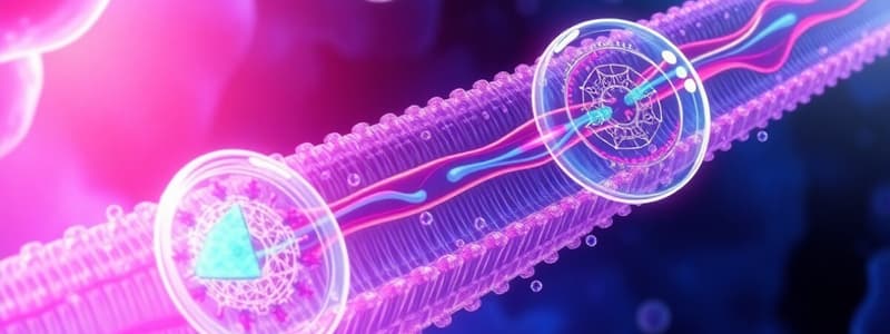 Cell Membrane Transport Mechanisms Quiz