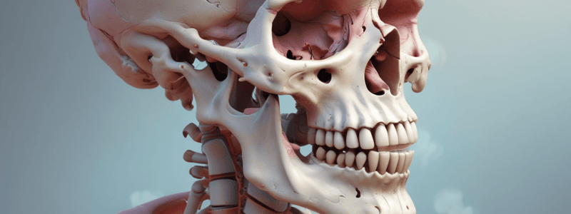 Bone Growth and Hormonal Regulation Quiz