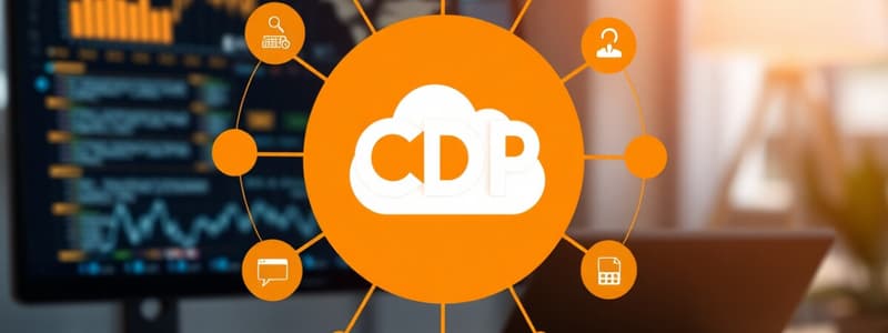 Customer Data Platform (CDP)