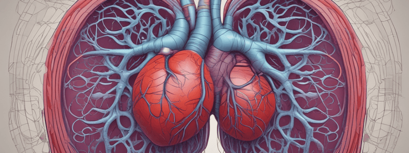 3.1 ;part 2Anatomy of the Cardiovascular System