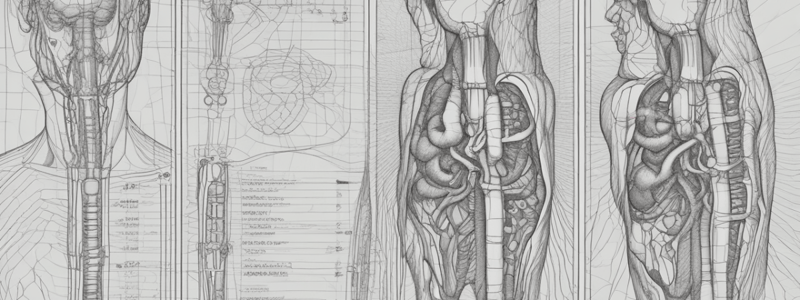 Medical Imaging Contrast Agents and Venipuncture Procedures