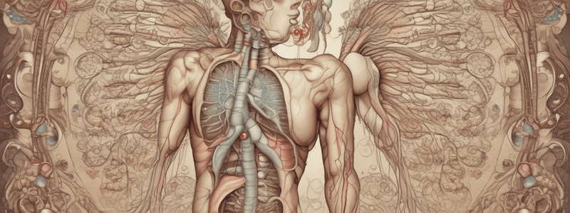 Respiratory System and Asthma