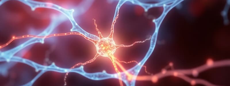 Cytoskeleton and Cell Motility Quiz