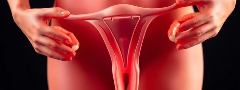 Polycystic Ovary Syndrome Overview