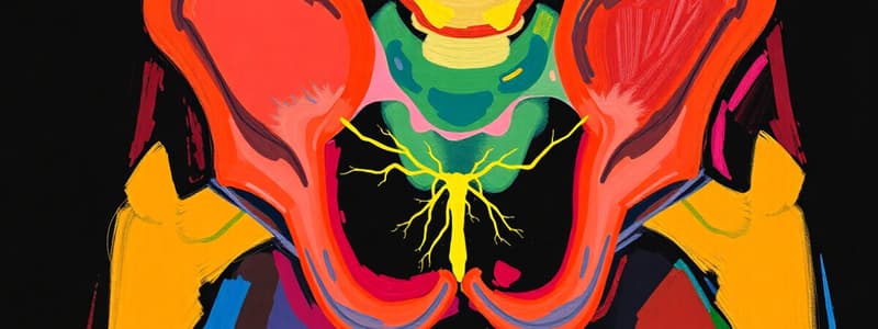 Adductor Canal and Obturator Nerve Quiz