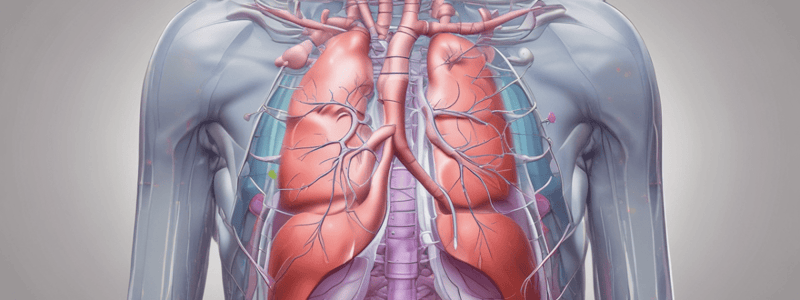 Anatomía Radiológica del Tórax en Niños