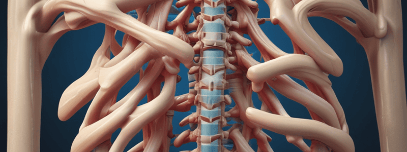 Spinal Shear Forces and Movements Quiz