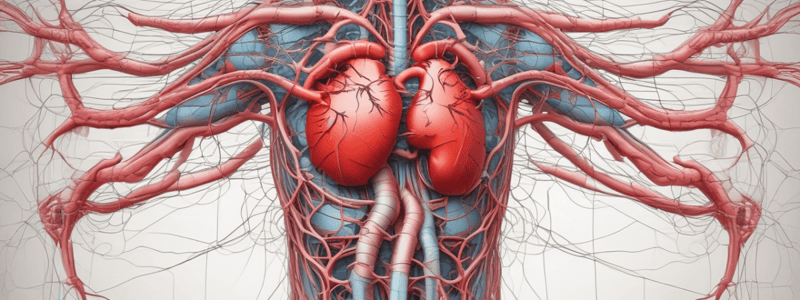 MBBS1 FPP: Flow and Pressure