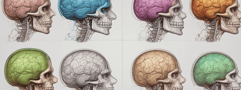 Cerebral Blood Flow, Cerebrospinal Fluid, and Brain Metabolism